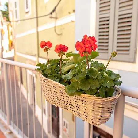 Slava Apartment Piran