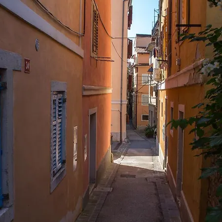 Slava Piran
